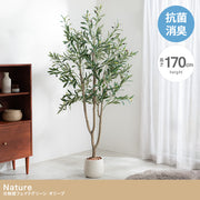 【高さ170cm】Nature 光触媒人工観葉植物 オリーブ