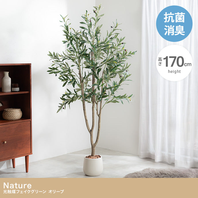 【高さ170cm】Nature 光触媒人工観葉植物 オリーブ