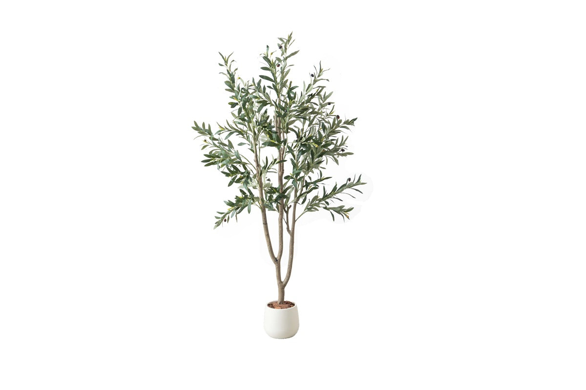 【高さ170cm】Nature 光触媒人工観葉植物 オリーブ