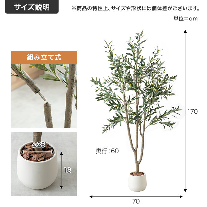 【高さ170cm】Nature 光触媒人工観葉植物 オリーブ