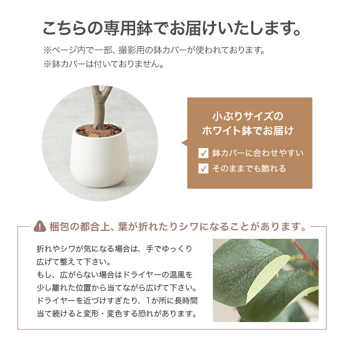 【高さ170cm】Nature 光触媒人工観葉植物 オリーブ